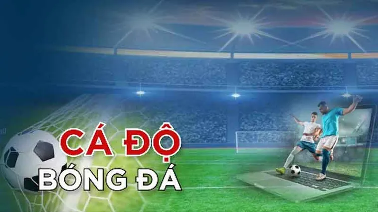Tìm Hiểu Cá Cược Bóng Đá 77Win Và Những Kinh Nghiệm Chơi Hiệu Quả