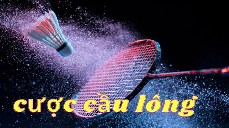 Cách Chơi Cá Cược Cầu Lông Tại 77Win Hiểu Rõ Luật Chơi Và Mẹo Thắng Lớn