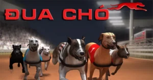 Cách Chơi Game Nhanh Đua Chó Tại 77Win Chuẩn Xác Và Hiệu Quả Nhất