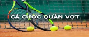 Tìm Hiểu Cá Cược Quần Vợt 77Win Và Cách Chơi Hiệu Quả Cho Người Mới